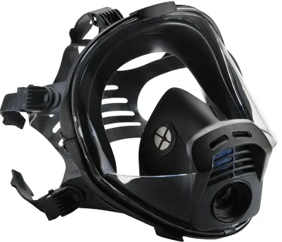 RSG 400701 RSG 700 Series PANAREA Full face mask